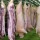Търговец на месо от Сливен планира да изгражда собствена кланица